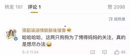 娱乐吃瓜博主起名大全,跟随吃瓜博主，畅游八卦海洋